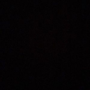 Meet your Posher, Jayiden